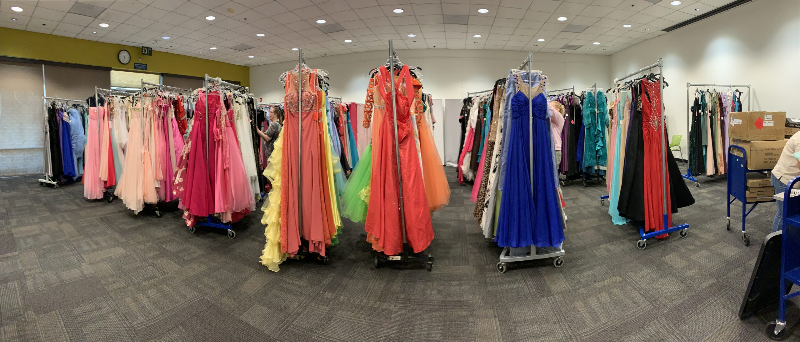 Prom dresses supplied by the Princess Project