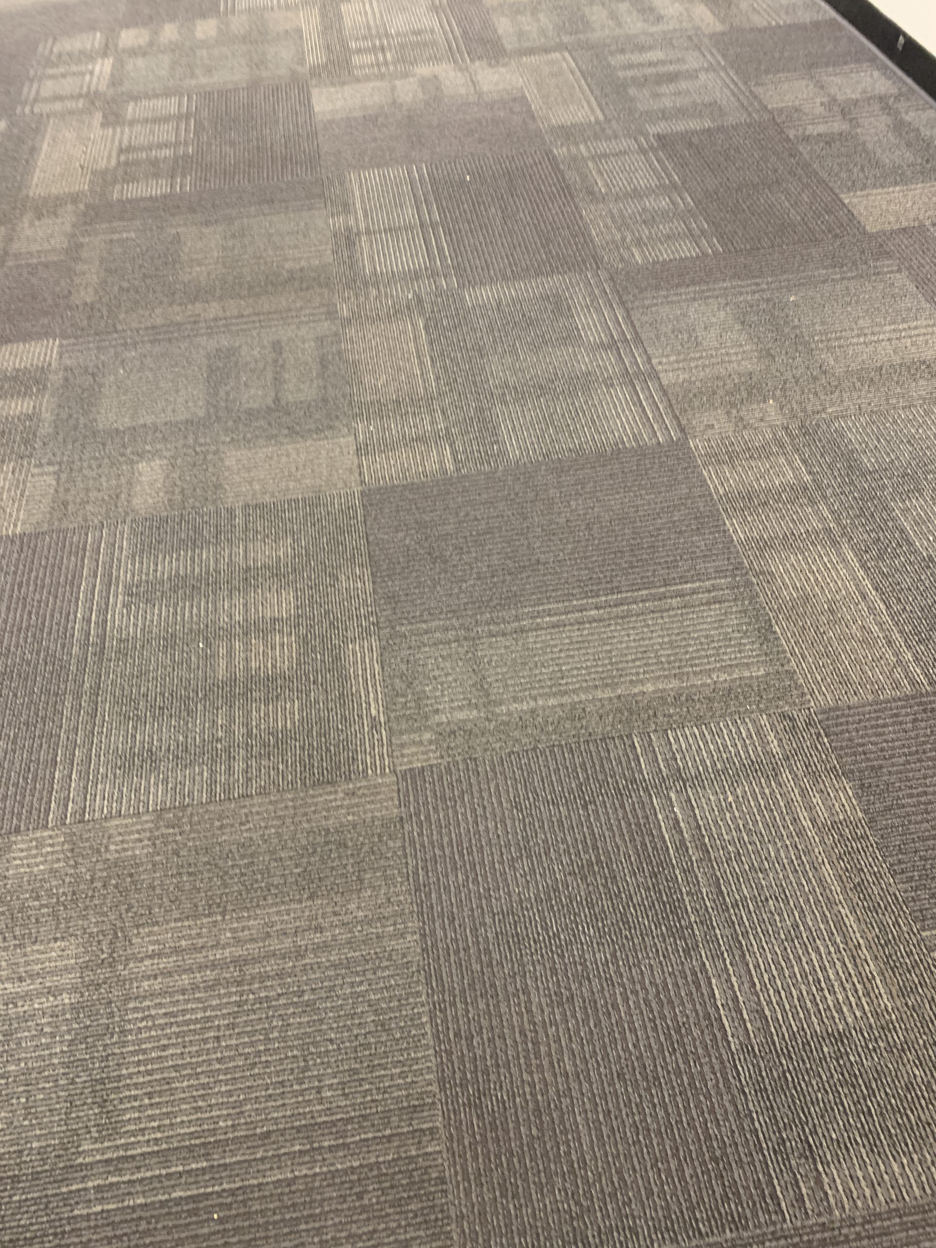New carpet in the Community Room was provided courtesy of the Friends of the Vista Library