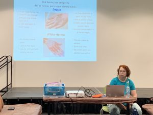 Instruction on applying henna