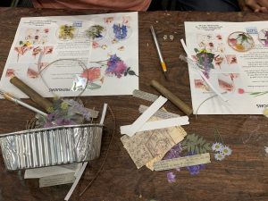 Pressed flower supplies