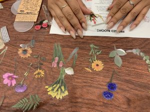 Design options laid out