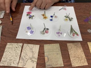 Design options laid out