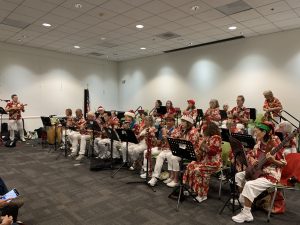 New Sunset Strummers at the Vista Library