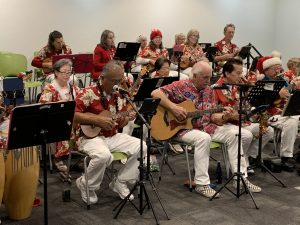 New Sunset Strummers at the Vista Library