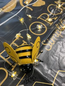 Organization class with Bee Organized at the Vista Library