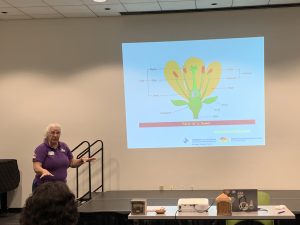 Attracting Pollinators